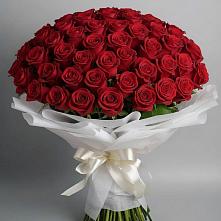 Букет 101 Красная роза Блэк Мэджик в Красавино