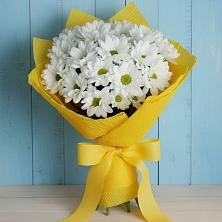 Букет цветов из:  Хризантемы в Красавино