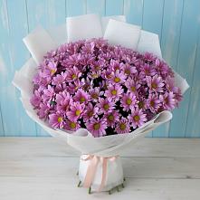Букет цветов из:  Хризантемы в Красавино