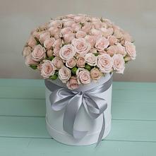 Цветочная композиция из Розы в шляпной коробке #REPLACE_PRED# Красавино