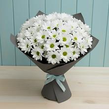 Букет цветов из:  Хризантемы #REPLACE_PRED# Красавино