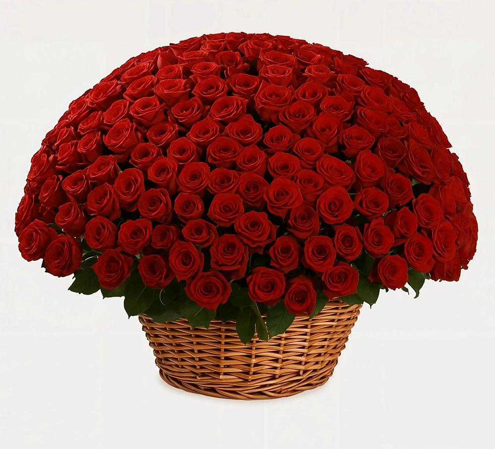 Премиум букет из: Розы в Красавино