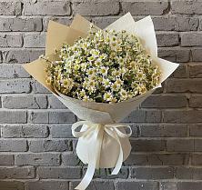 Букет цветов из:  Ромашки #REPLACE_PRED# Красавино