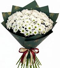 Букет цветов из:  Хризантемы #REPLACE_PRED# Красавино