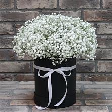 Цветочная композиция из Гипсофила в шляпной коробке в Красавино