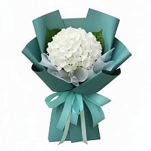 Букет цветов из:  Гортензия #REPLACE_PRED# Красавино